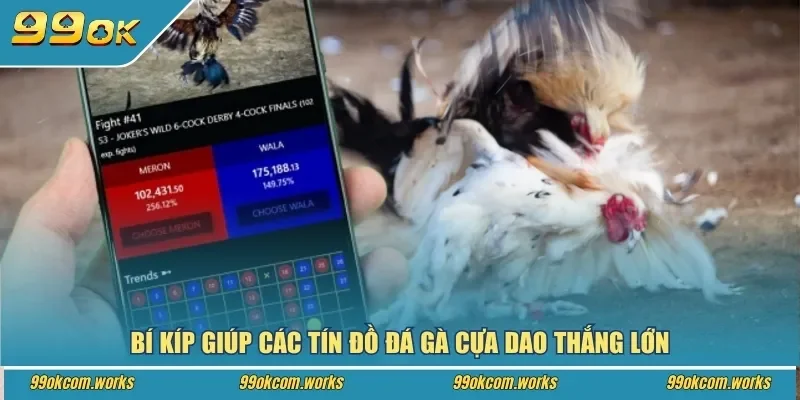 Bí kíp giúp các tín đồ đá gà cựa dao thắng lớn